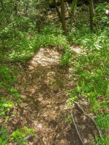 Steep Section of Haywood Gap Trail