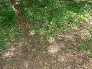 Haywood Gap and Buckey Gap Trail Junction