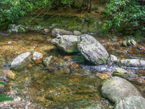 Haywood Gap Trail Creek Crossing