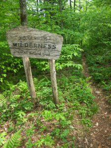 Pisgah National Forest: Middle Prong Wilderness