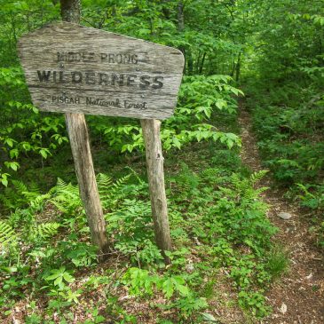 Our Comments on the Pisgah and Nantahala Wilderness Evaluations