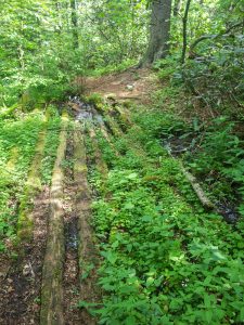 Old Logging Bridge Structure