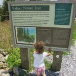 Balsam Nature Trail Sign