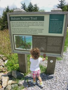 Balsam Nature Trail Sign