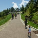 Mount Mitchell Summit Path