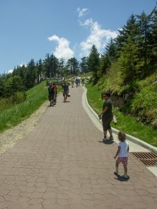 Mount Mitchell Summit Path