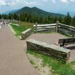 Mount Mitchell Summit Path