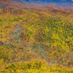 Grandfather Mountain from Big Lost Cove Cliffs