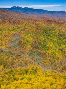 Grandfather Mountain from Big Lost Cove Cliffs