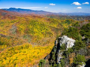 Pisgah National Forest: Wilson Creek Area