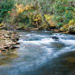 Fall Color on the South Mills River