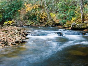 Fall Color on the South Mills River