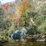 Fall Color on the South Mills River