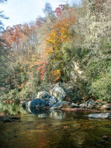 Fall Color on the South Mills River