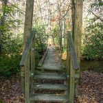 Suspension Bridge