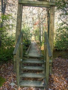 Suspension Bridge