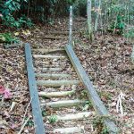 Sign at the Start of the Turkey Pen Gap Trail