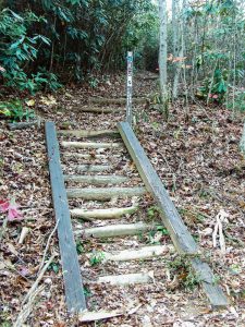 Sign at the Start of the Turkey Pen Gap Trail