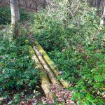 Sketchy Old Log Bridge on the Wagon Road Gap Trail