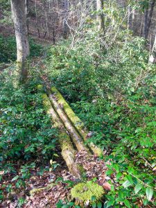 Sketchy Old Log Bridge on the Wagon Road Gap Trail
