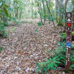 Sign at the Bottom of the Wagon Road Gap Trail