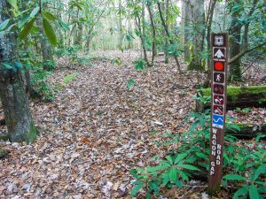 Sign at the Bottom of the Wagon Road Gap Trail