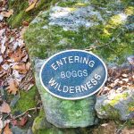 Entering Boggs Wilderness