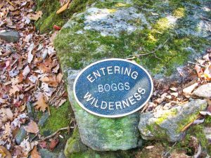 Entering Boggs Wilderness