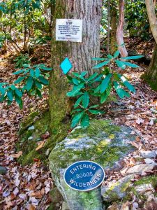 Entering Boggs Wilderness