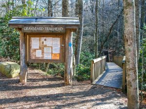 Sign and Bridge at the Graybeard Trailhead