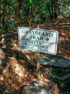 Graybeard/Bryan Woodward Loop Split