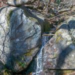 Small Waterfall on the Julia Woodward Trail