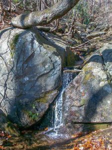 Small Waterfall on the Julia Woodward Trail