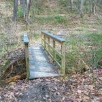 Bridge in Richmond Hill Park