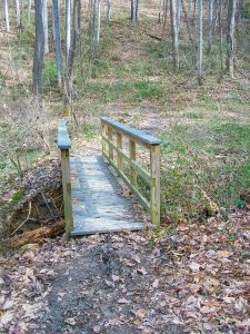 Bridge in Richmond Hill Park