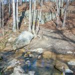 Creek Crossing and Rock Outcrop