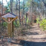 Richmond Hill Park Trail Sign