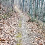 Straight Section of Trail in Richmond Hill Park