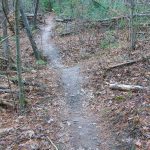 Dirt Mound on the Trail