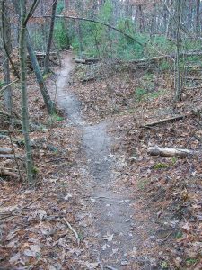 Dirt Mound on the Trail