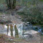 Upper Crossing of Lee Creek