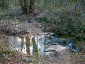 Upper Crossing of Lee Creek