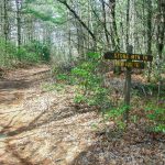 Stone Mountain/Rocky Ridge Trail Junction