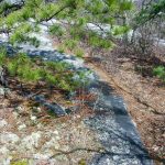 Nearing the Summit of Stone Mountain