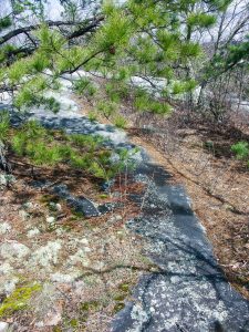 Nearing the Summit of Stone Mountain