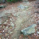 Rocky Section of Stone Mountain Trail