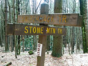 Switchback/Stone Mountain Trail Junction