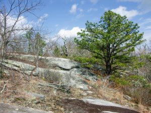 Rocky Summit of Stone Mountain