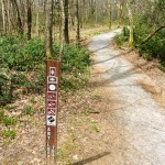 Estatoe-Art Loeb Trail Junction