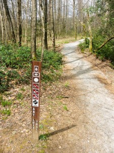 Estatoe-Art Loeb Trail Junction